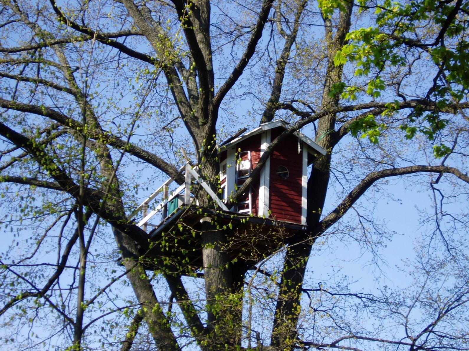 Woodpecker Hotel - Hotell Hackspett, The Hotel In The Trees